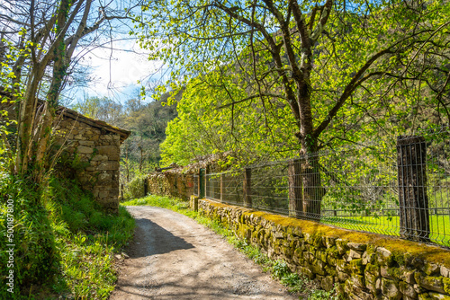 Fototapeta Naklejka Na Ścianę i Meble -  Path between the Tornin to the Olla de San Vicente, near Cangas de Onis. Asturias. Spain
