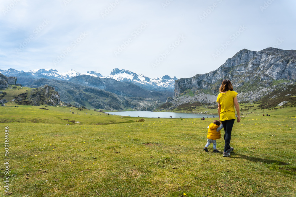 A child taking his first steps in Lake Ercina in spring with yellow flowers in the Lakes of Covadonga. Asturias. Spain