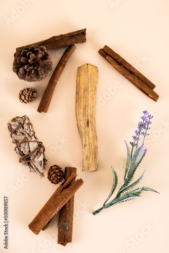 Spiritual practices with natural elements Palo Santo stick and White sage.Cleansing kit.
