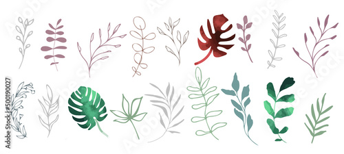 Hand drawn colorful plant set modern and universally usable. Flower branch and minimalistic plants. Hand drawn lines  elegant leaves for your own design. Botanical  chic and trendy plants. 