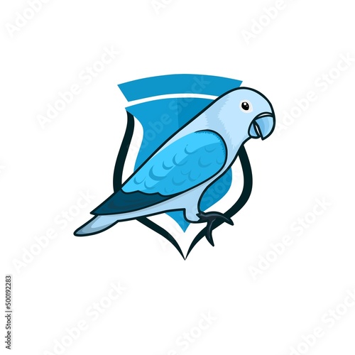 Lovebird graphic vector illustration. Cobalt blue lovebird in elegant style. Perfect for bird club logo design. 