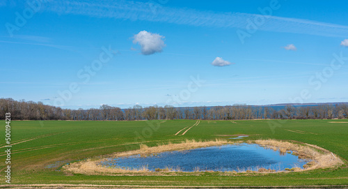 kleiner Teich auf einem Feld, Ralswiek, Rügen