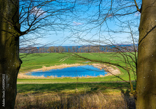 kleiner Teich auf einem Feld, Ralswiek, Rügen