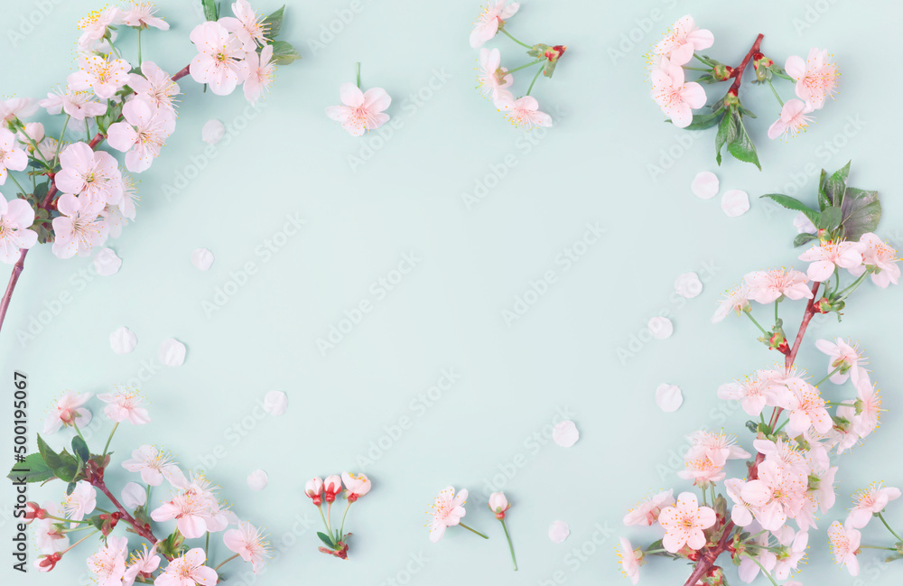 Cherry blossoms in full bloom on blue background with space Cherry blossoms in full bloom on blue background with space