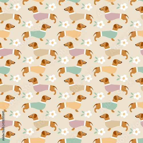 Sweet cute seamless repeat dachshund dog puppy pet animal vector flowers pattern on pastel background. Colourful dachshunds.