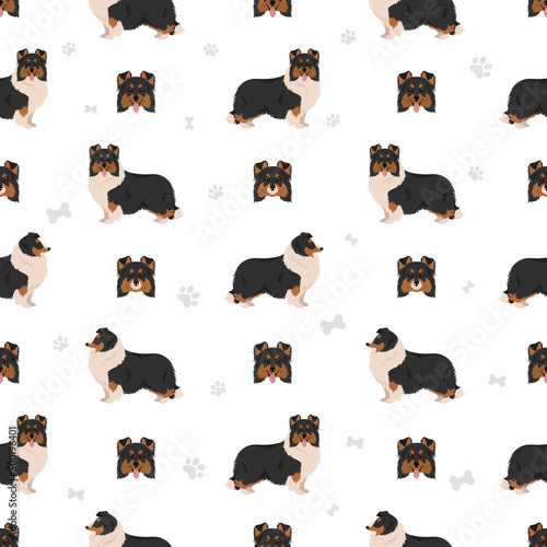 Sheltie, Shetland sheepdog seamless pattern. Different poses, coat colors set