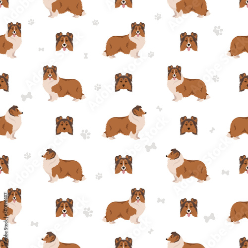 Sheltie, Shetland sheepdog seamless pattern. Different poses, coat colors set