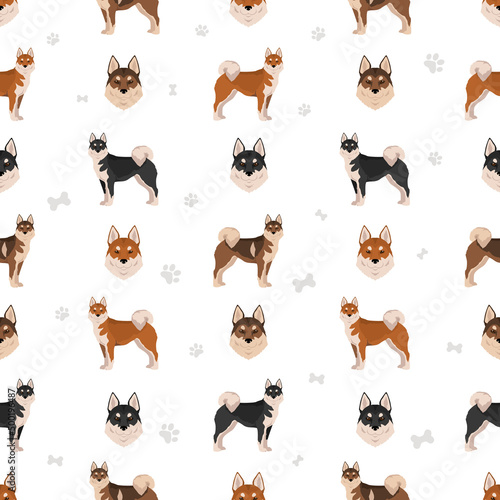 Shikoku dog coat colors, different poses seamless pattern