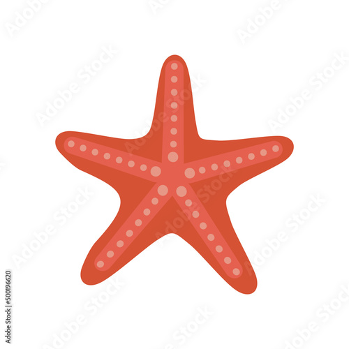 Orange starfish isolated on white background. Sea creature with spines. Marine flat clip art. Cartoon vector illustration
