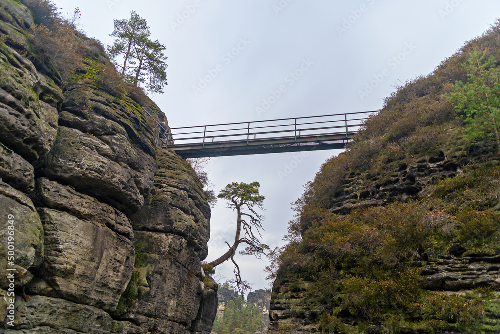 Czech Saxony. Bridge , rocks, passage, trees, nature, landscape, height, park.