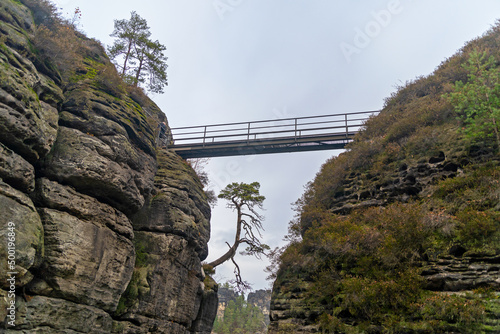 Obraz na płótnie Czech Saxony. Bridge , rocks, passage, trees, nature, landscape, height, park. w salonie