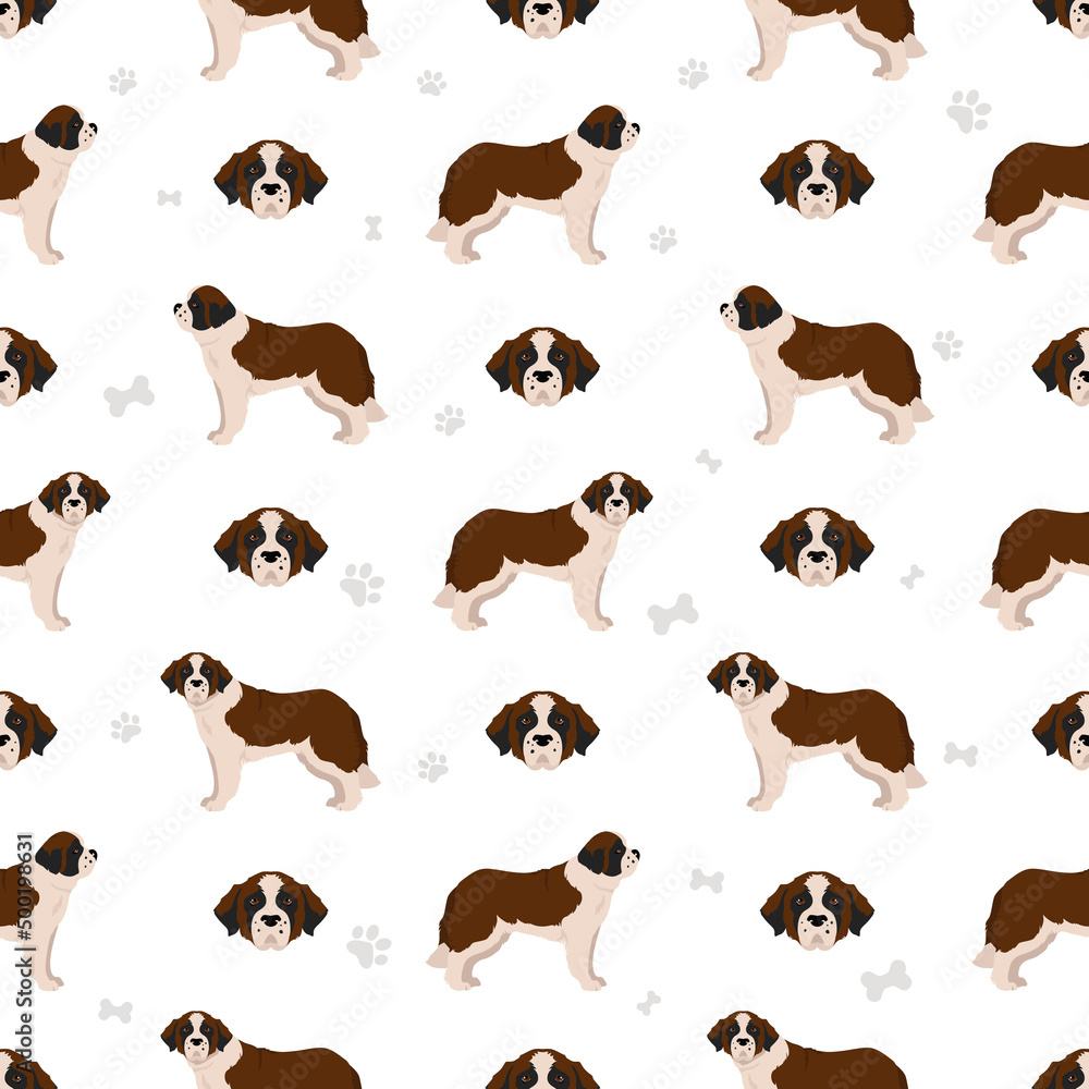 St Bernard longhaired coat colors, different poses seamless pattern