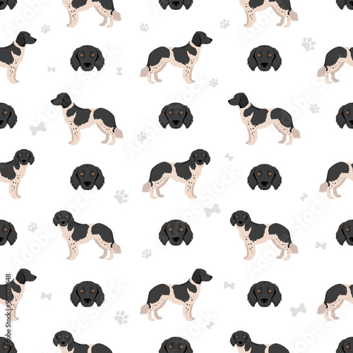Stabyhoun coat colors, different poses seamless pattern