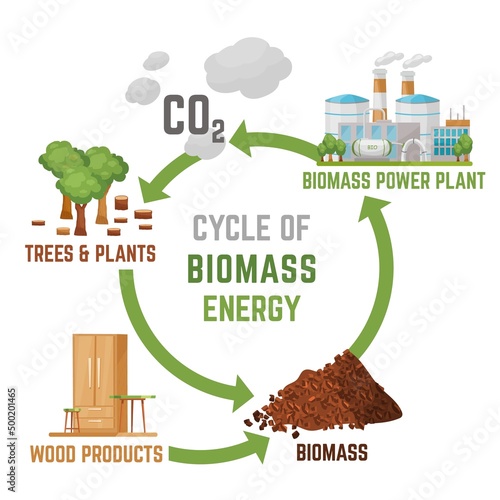 Biomass energy vertical poster with useful infographics. Vector illustration