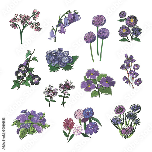 Garden flowers vector hand drawn illustrations set