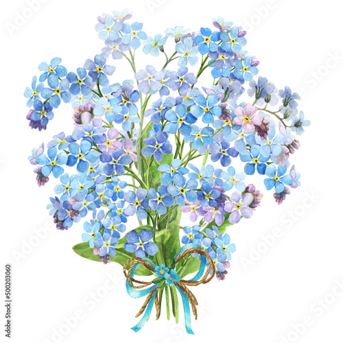 Watercolor spring flowers - forget me nots. Bouquet of flowers,  botanical illustration photo