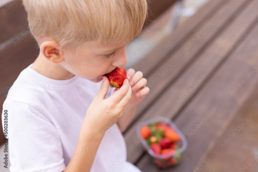 Little blonde boy eating strawberries on a bench. Little blonde boy eating strawberries on a bench.