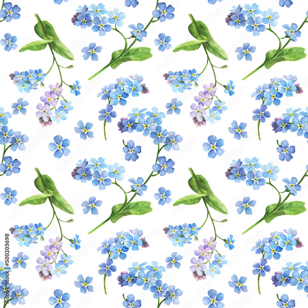 Watercolor spring flowers - forget me nots. Seamless pattern on white background, botanical illustration