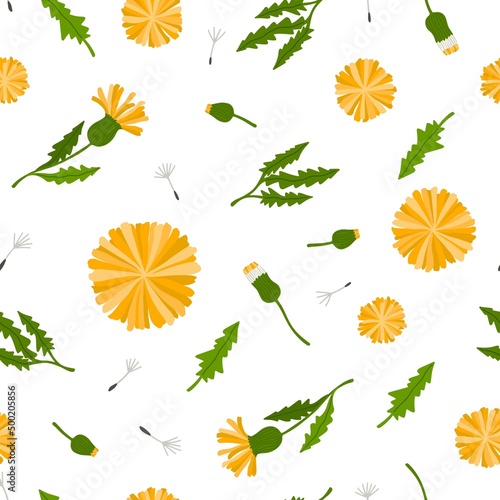 Fototapeta Naklejka Na Ścianę i Meble -  Seamless vector pattern with flowers, inflorescence and leaves of dandelions on a white background. Elegance pattern with realistic plants design for fabric, wallpaper, textile and decor.