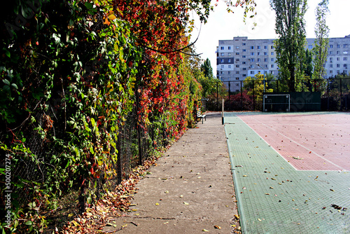Fototapeta Naklejka Na Ścianę i Meble -  ivy on the fence of the tennis court	
