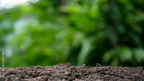 fertile soil and blurred green nature background Concept of nature, environment, and natural environment conservation.