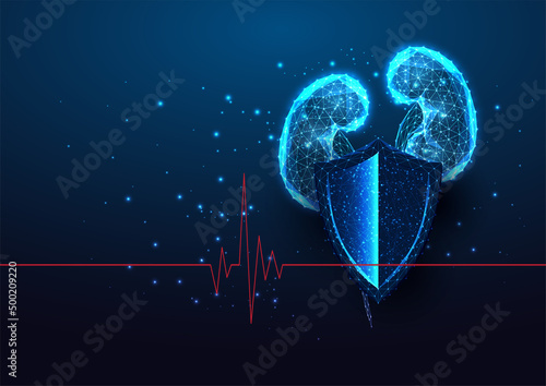 Futuristic kidney protection concept banner with glowing low polygonal anatomical kidneys and shield