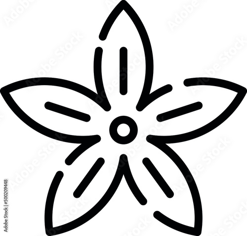 Star Anise is a favorite herb in Eastern cuisine