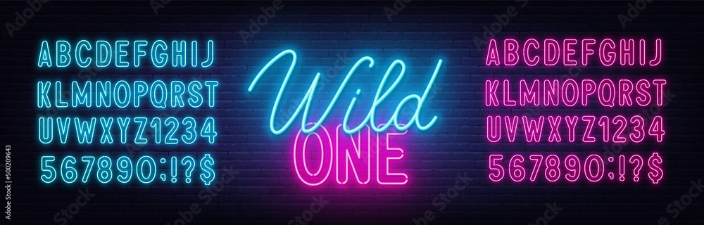 Wild One neon lettering on brick wall background.