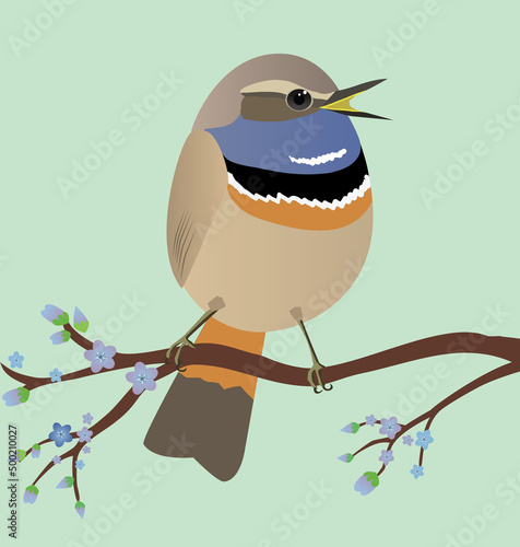 A very cute Bluethroat bird in the shape of an egg. Soft green background. The bird sits on a branch with blue blossoms.