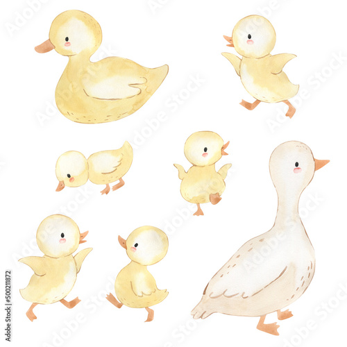 Watercolor duck. Illustration for kids