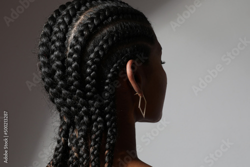 Print op canvas Close-up of African young woman with long braids posing on white background