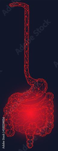 Polygonal stomach and intestines. Medical research of internal organs, innovative approach concept. Human digestive system illustration. Modern depiction of organs for digesting and assimilating food