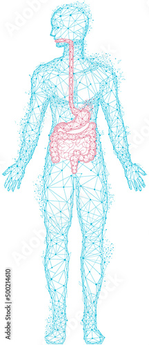 Polygonal human body with red stomach and intestines. Treatment of diseases of gastrointestinal tract. Medical research of internal organ, innovative approach concept. Organ of human digestive system