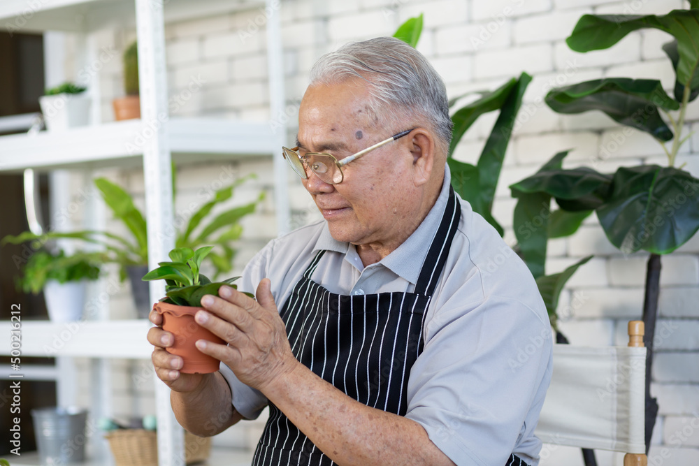 Retirement people enjoy and be happy. With the care of trees in the garden Retirement people enjoy and be happy. With the care of trees in the garden