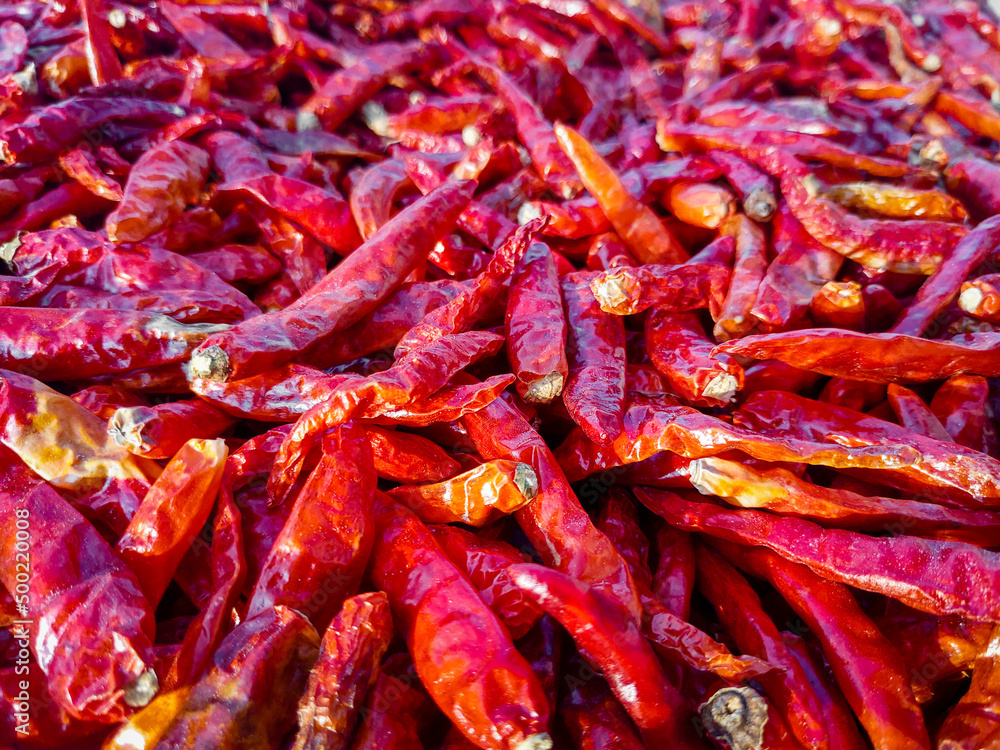 A close up shot of dried red long chillies. Chili spur pepper A close up shot of dried red long chillies. Chili spur pepper