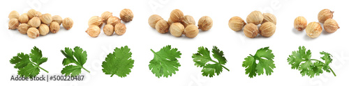 Set with fresh green coriander leaves and dried seeds on white background. Banner design photo