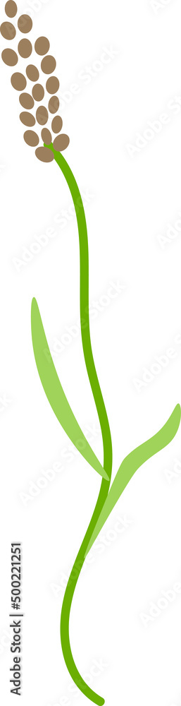 Plants and flowers vector clipart Plants and flowers vector clipart