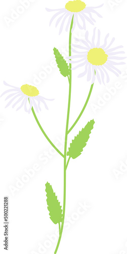 Plants and flowers vector clipart