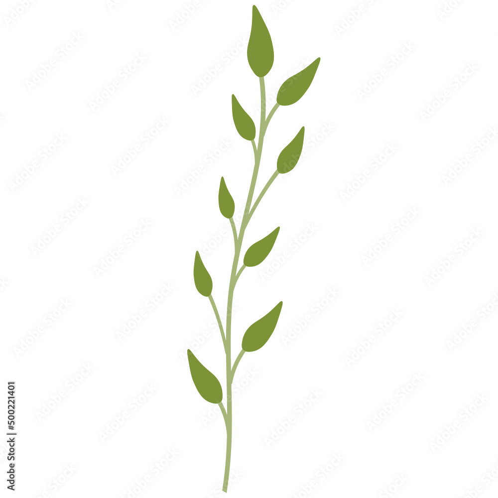Fototapeta premium Plants and flowers vector clipart