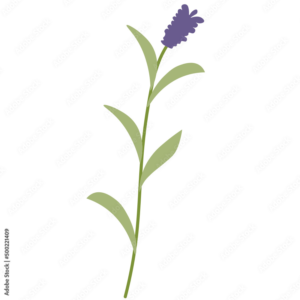Obraz premium Plants and flowers vector clipart