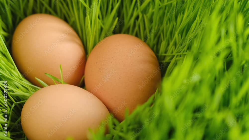 Chicken egg, rotation shot, Chicken fresh raw eggs.Healthy fresh food ingredients for breakfast. Animal products. Grocery. Chicken farm fresh eggs Chicken egg, rotation shot, Chicken fresh raw eggs.Healthy fresh food ingredients for breakfast. Animal products. Grocery. Chicken farm fresh eggs