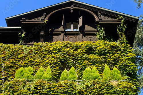 House with climbing plants along via Mascheroni in Milan, Italy photo