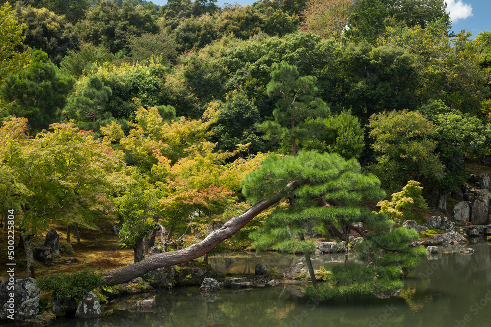 Japanese zen garden 