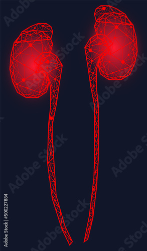 Polygonal human kidneys made of red lines and dots. Medical research of internal organs, innovative approach concept. Organ of human urinary system. Modern depiction of kidney for urine excretion
