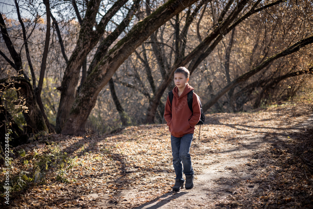 Teenager boy with backpack walking on path in autumn park. Active lifestyle, Back to school. Student boy in fall forest.