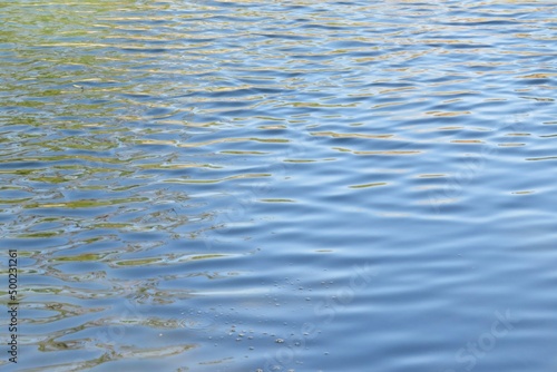 Light blue river water surface in Florida nature