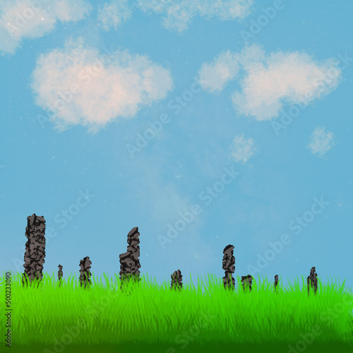 field and blue sky