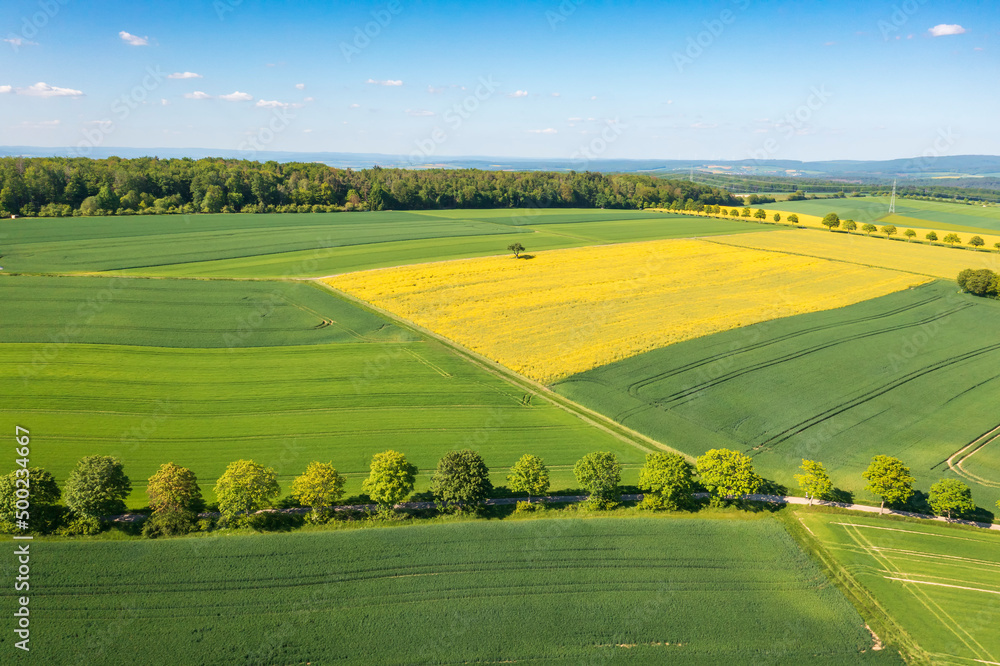 Obraz premium A bird's-eye view of a spring landscape in Taunus/Germany with blooming rapeseed fields