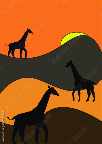 silhuette, giraffe