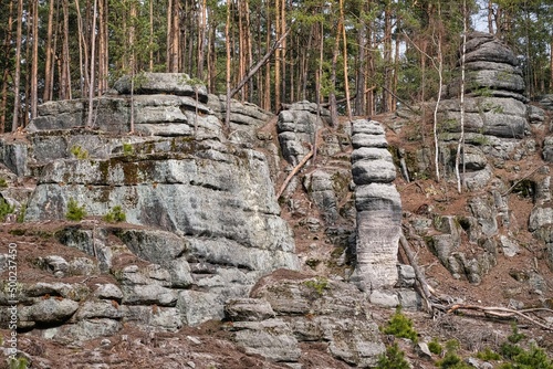 Sandstone rock in the forest. Beautiful nature panorama